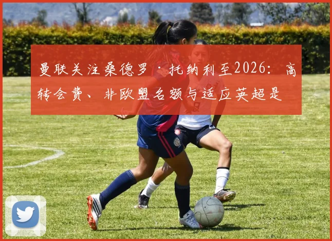 曼联关注桑德罗·托纳利至2026：高转会费、非欧盟名额与适应英超是三大核心难题